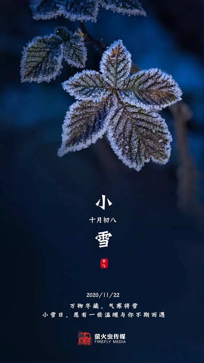 传媒 小雪 - 副本.png